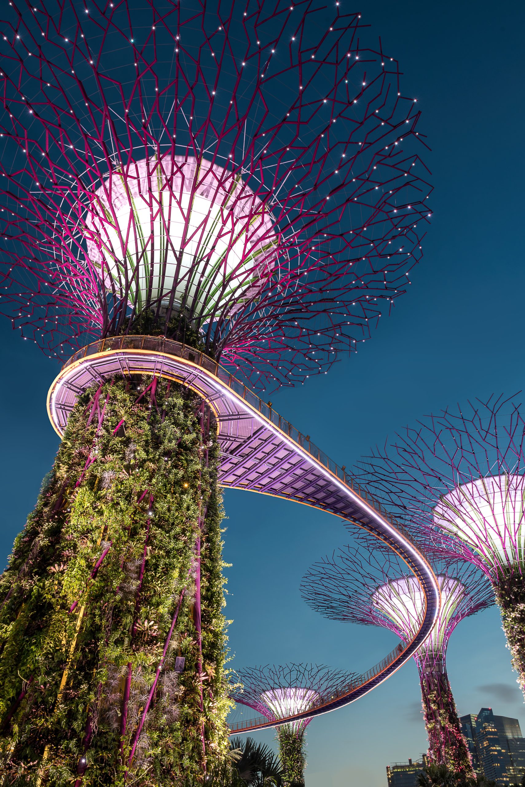 Transforming to a Marketing Powerhouse
